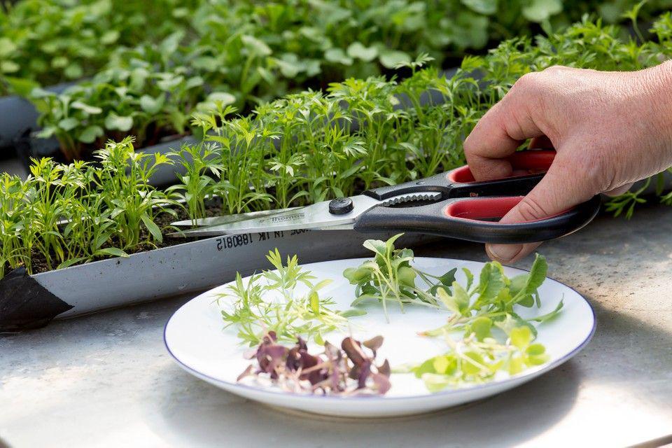 gardenersworld.com