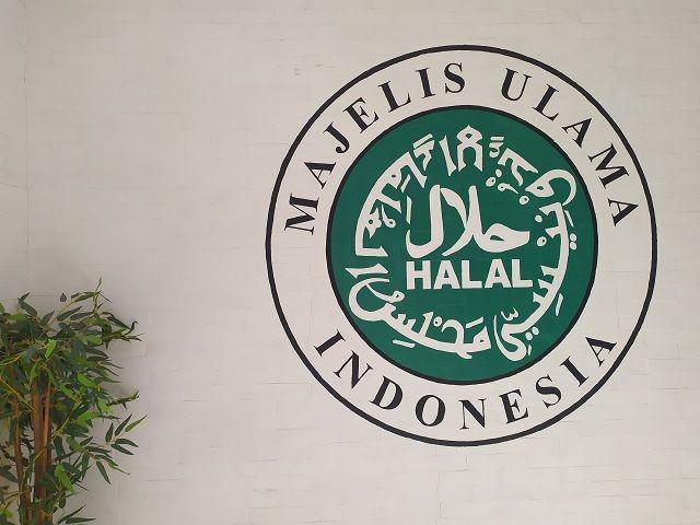 Sri Mulyani Beberkan 3 Strategi Indonesia Kembangkan Ekonomi Halal