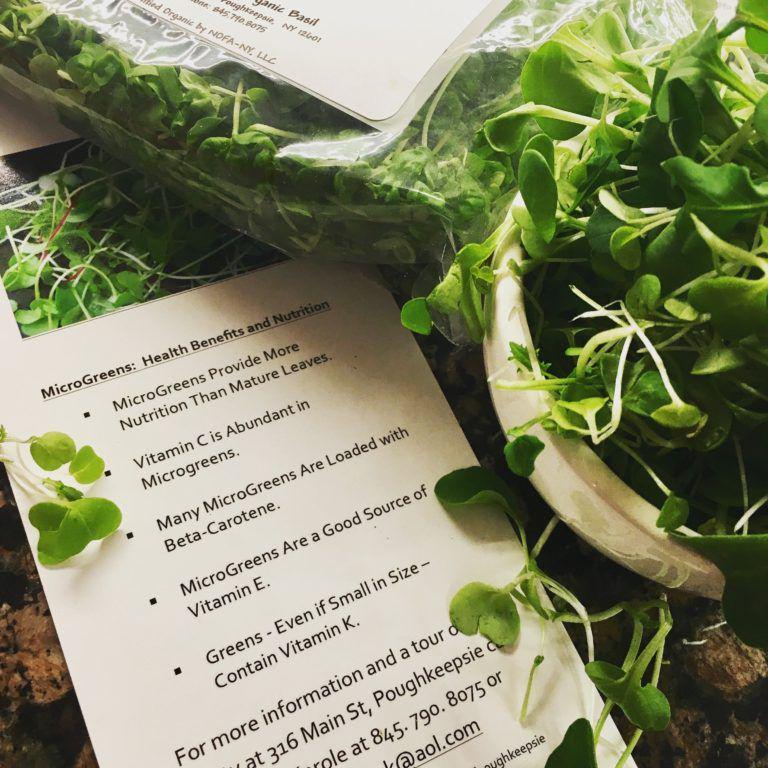 organichealthylife.com