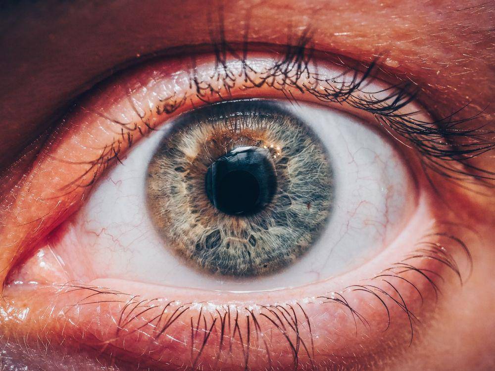 pexels.com/LeonodDanilov