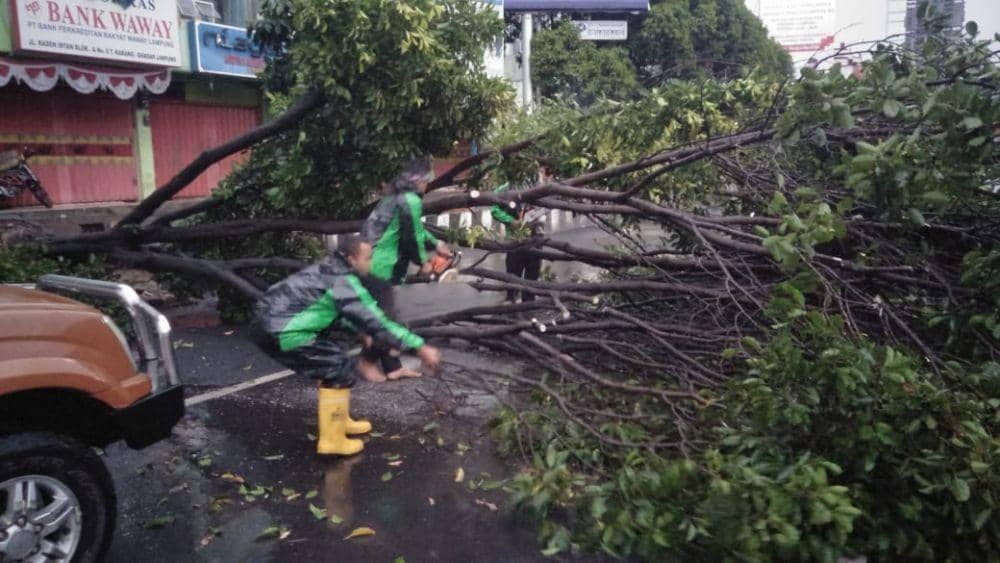 Personel BPBD Bandar Lampung mengevakuasi pohon tumbang di Jalan Raden Intan, Rabu (5/8/2020) pagi. (Istimewa/IDN Times)