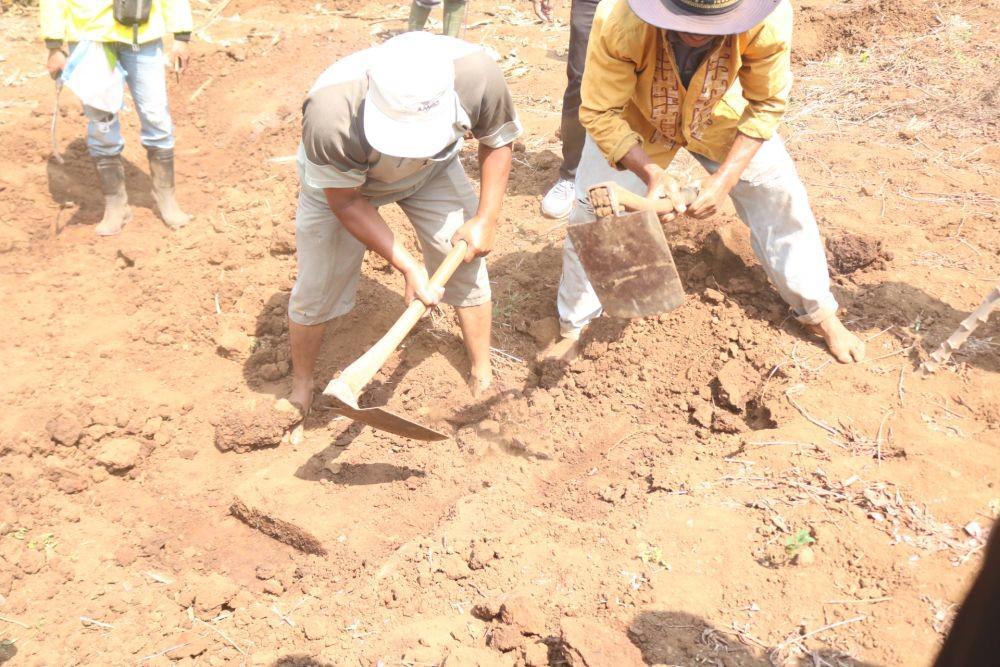 Eskavasi dilakukan untuk memastikan seperti apa struktur situs Langlang. IDN Times/ Alfi Ramadana