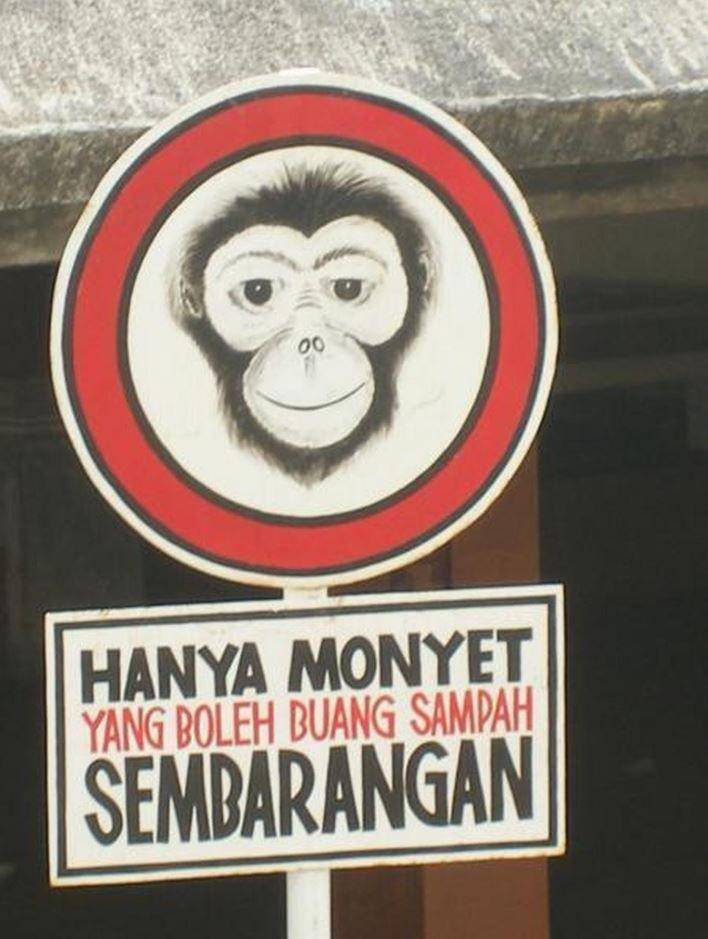 Twitter.com/hoofdbureauid