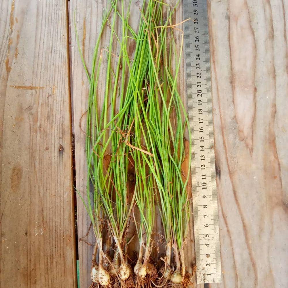 instagram.com/bigr_resources