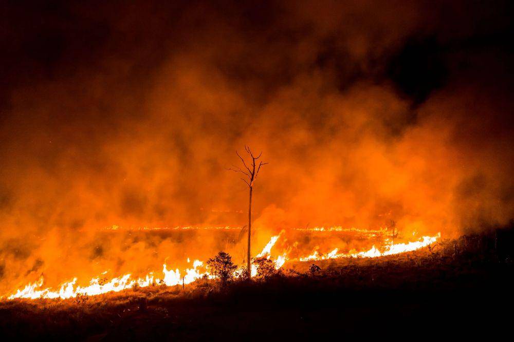 Kebakaran hutan di Vila Nova Samuel, dekat Taman Nasional Jacundá National Forest pada Agustus 2019. Foto diambil oleh Sebastián Liste untuk TIME.