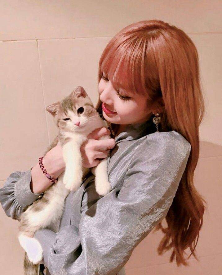 Instagram.com/lalalisa_m