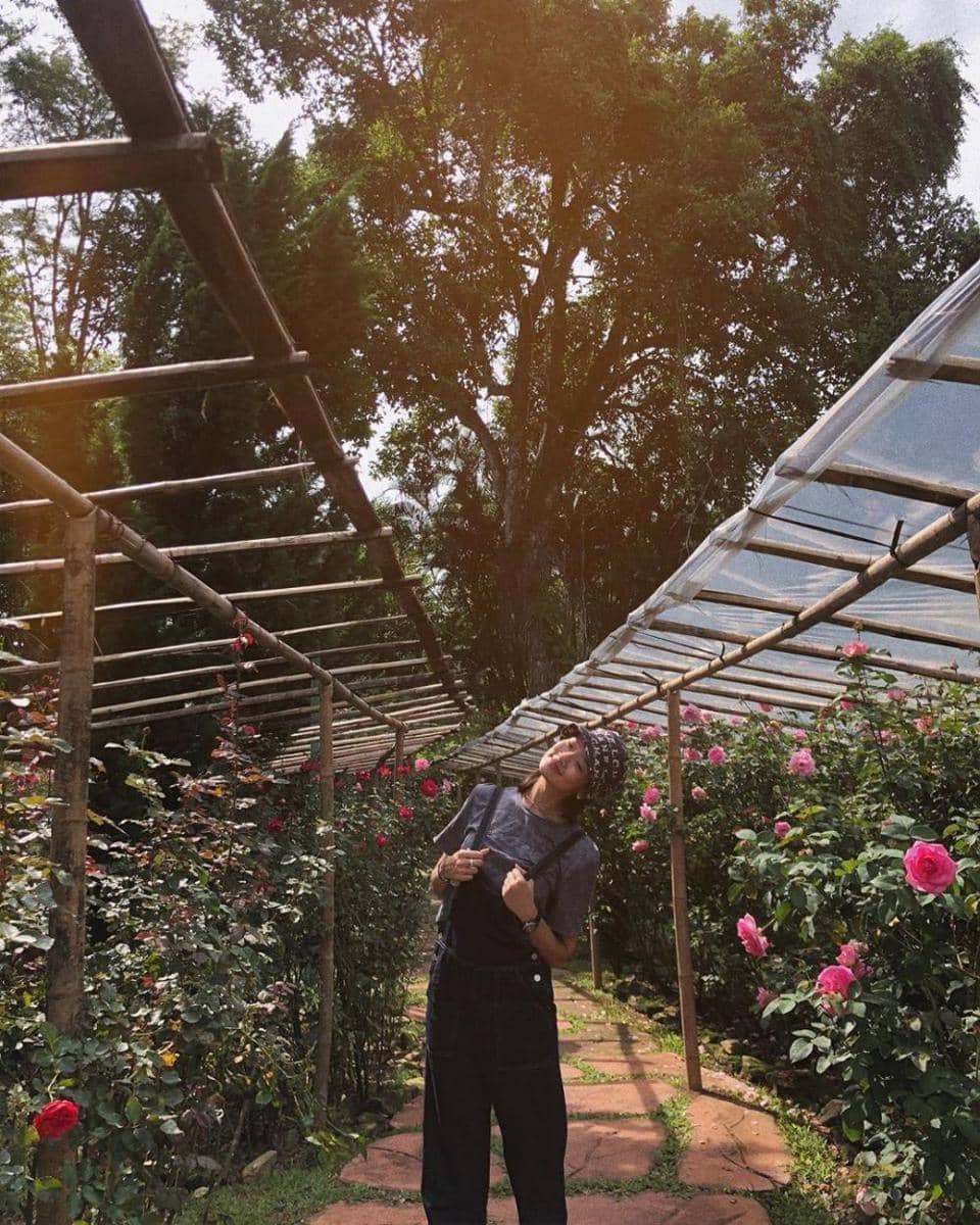 instagram.com/aokbab