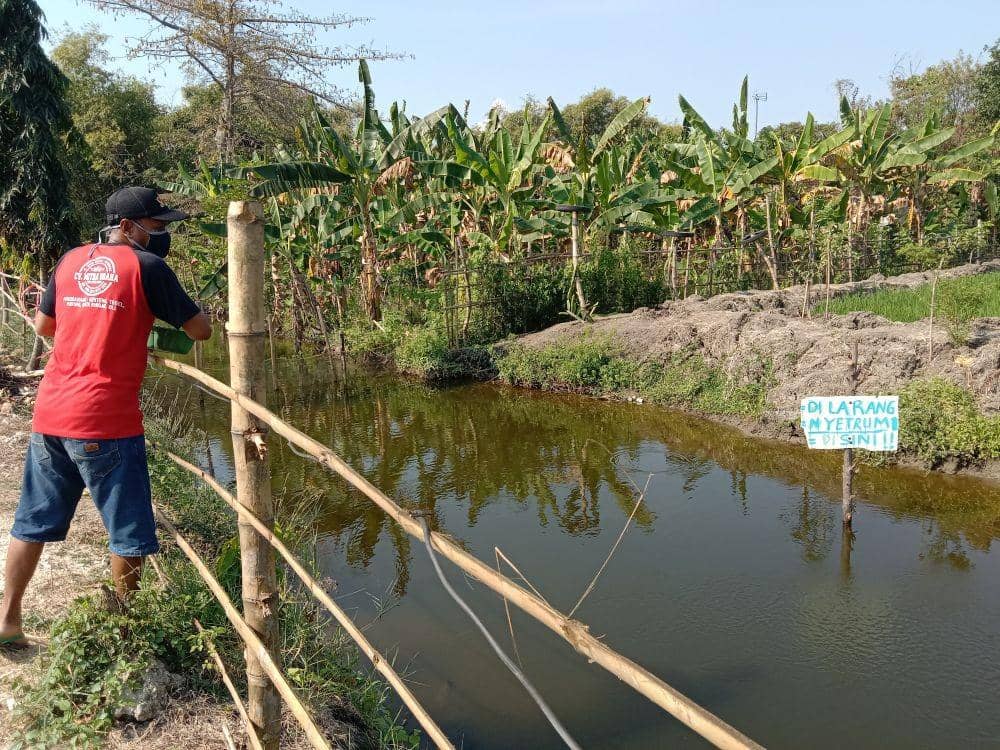 Saluran irigasi pertanian yang semula ditumbuhi rumput liar kini dijadikan budidaya ikan. IDN Times/Imron