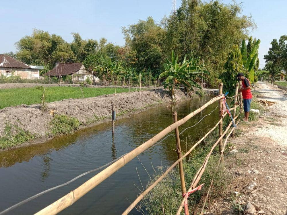 Saluran irigasi pertanian yang semula ditumbuhi rumput liar kini dijadikan budidaya ikan. IDN Times/Imron