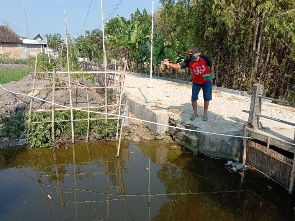 Saluran irigasi pertanian yang semula ditumbuhi rumput liar kini dijadikan budidaya ikan. IDN Times/Imron