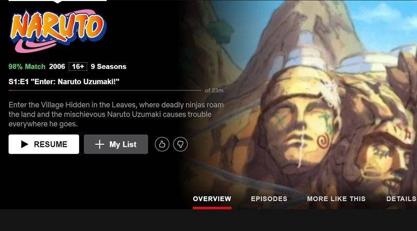 netflix.com