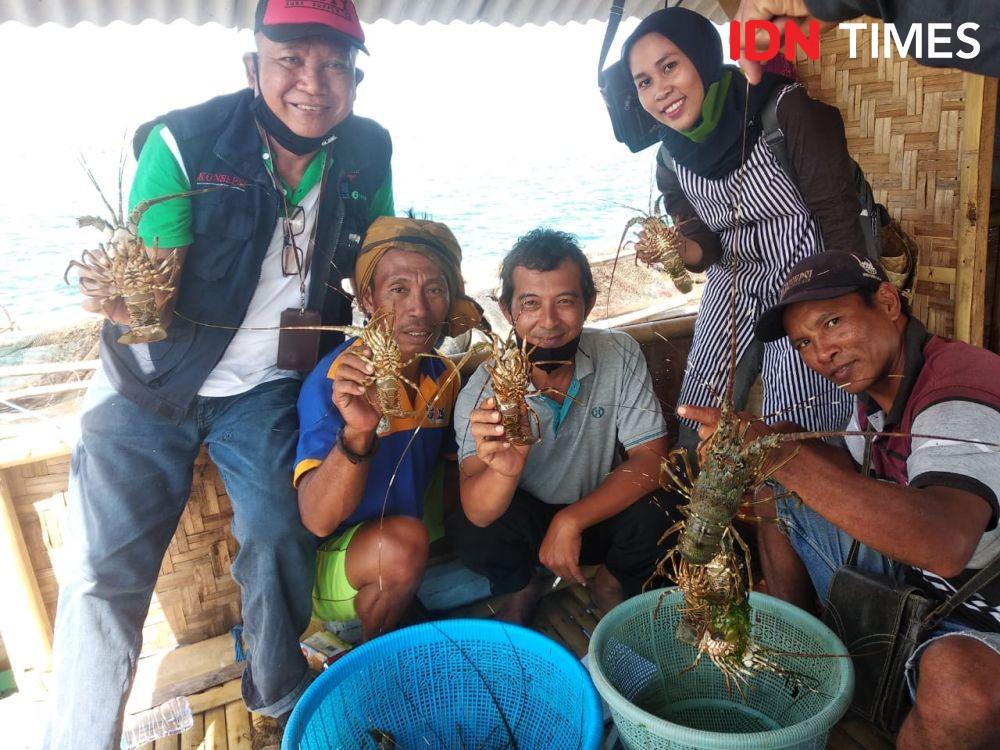 Ilustrasi Lobster (IDN Times/Vanny El Rahman)