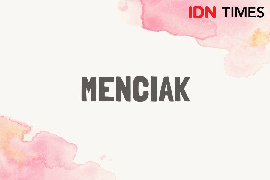 IDN Times/M. Tarmizi Murdianto