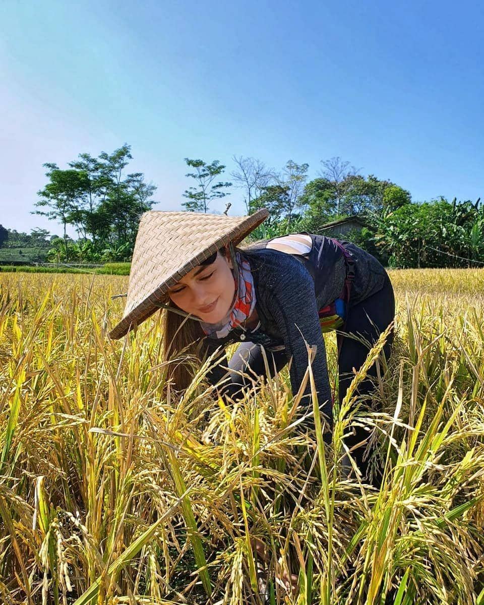 instagram.com/lunamaya
