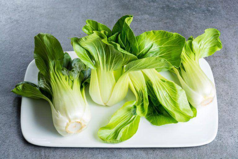 vegfusion.org