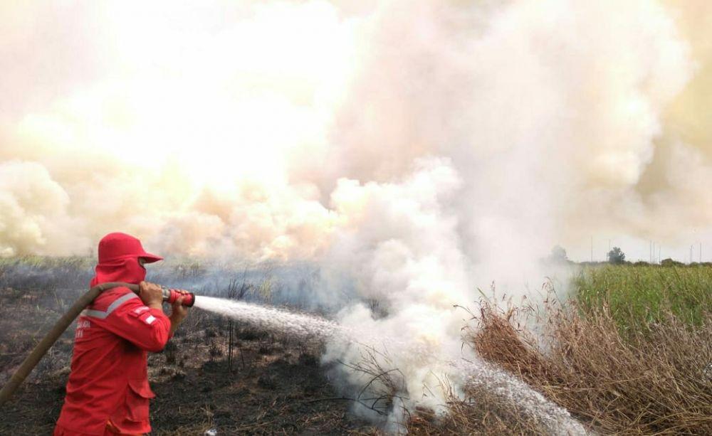 Sudah 36 Hektare Lahan di Ogan Ilir Terbakar Sepanjang 2020