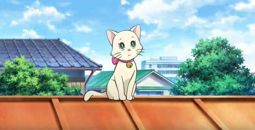 Shin-Ei Animation/Doraemon