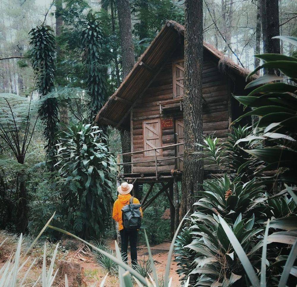 instagram.com/johanvibee