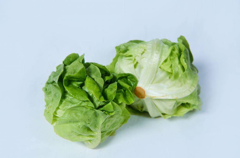 fresh4u.com.my