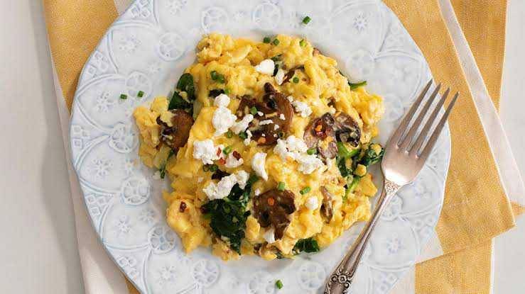 eggs.ca
