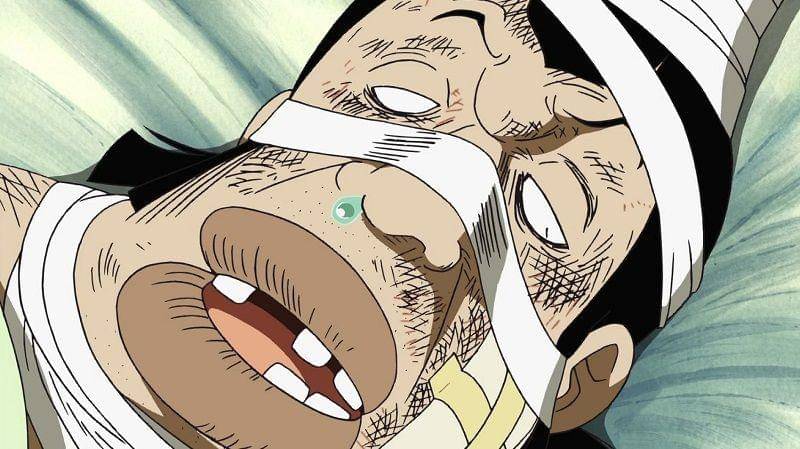 Toei Animation/One Piece