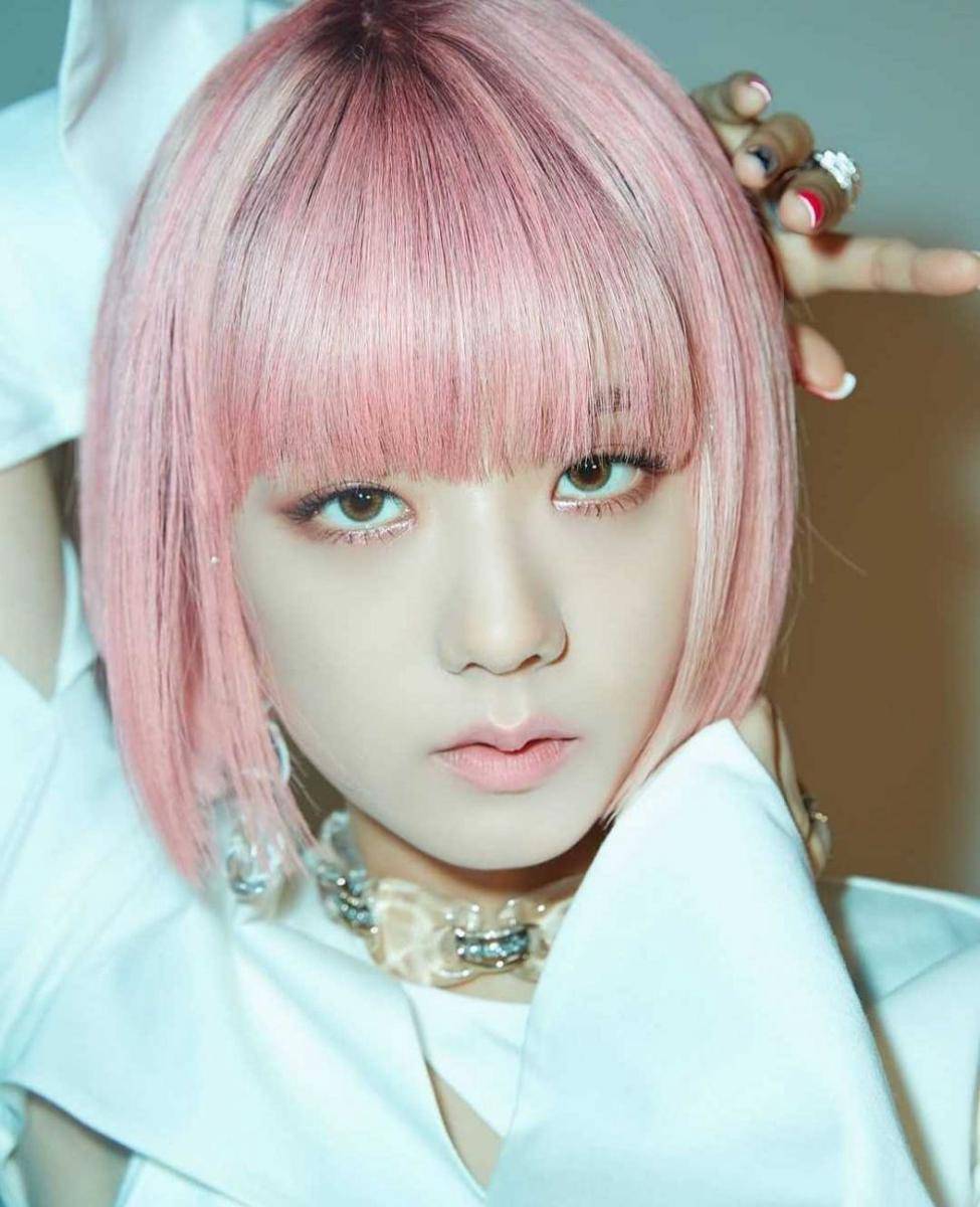 Instagram.com/jisoo.blakpink