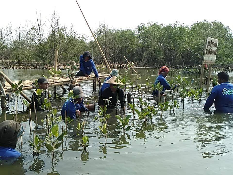 instagram.com/remajataburmangrove