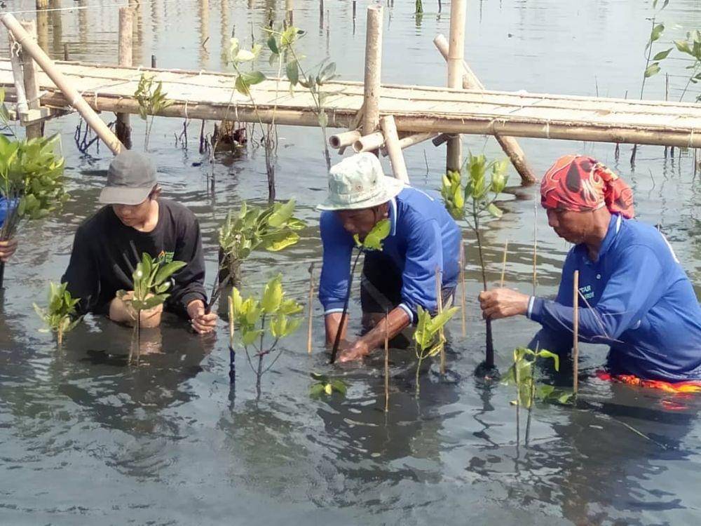 instagram.com/remajataburmangrove