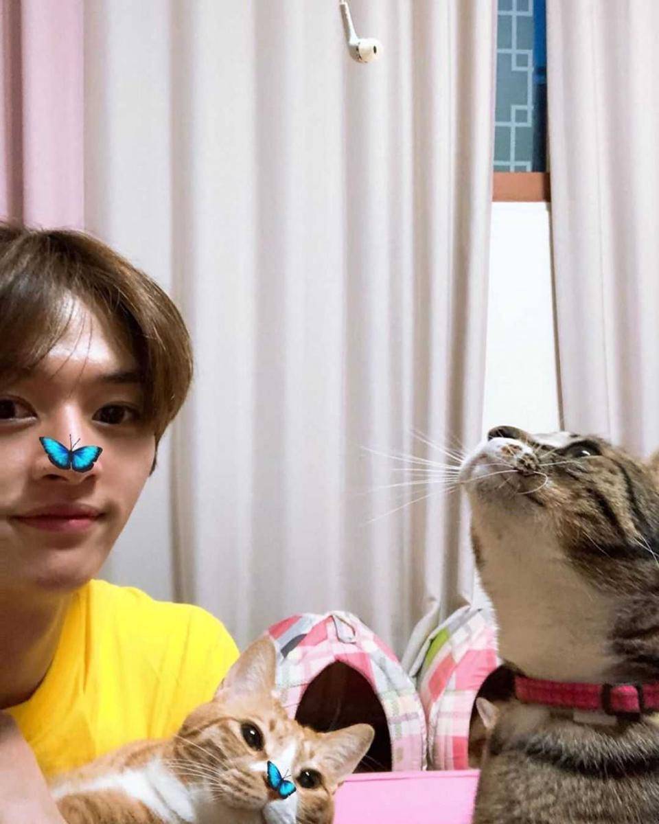 Instagram/realstraykids
