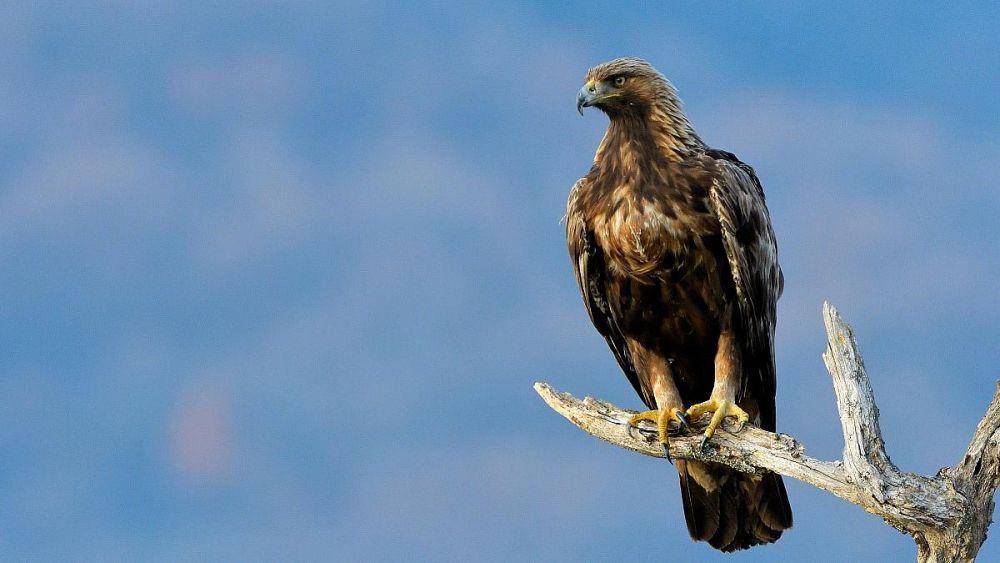 romania-insider.com