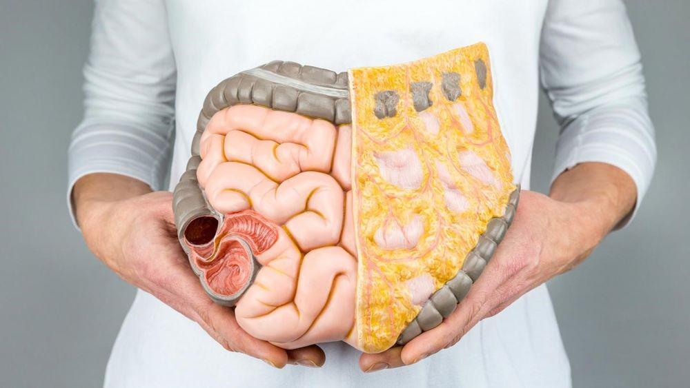 Ubah Pola Makan, 7 Cara Jaga Kesehatan Lambung Penderita Gastroparesis