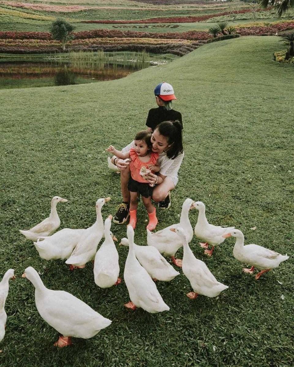 Instagram.com/mrssharena