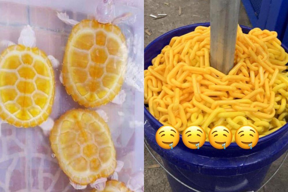 Fokus! 9 Foto ini Akan Nampak Seperti Makanan Kalau Kamu Terlalu Lapar