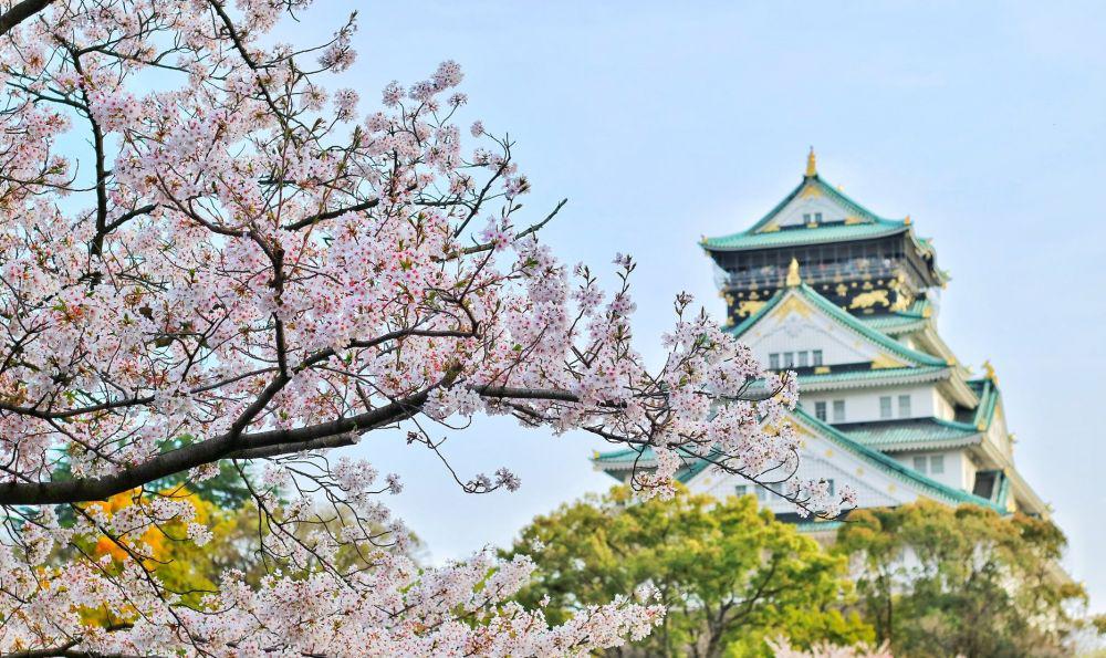 6 Situs Penyedia Info Lowongan Kerja di Jepang yang Terpercaya 2020
