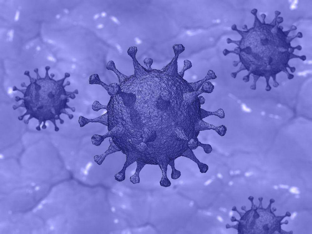 ilustrasi virus corona SARS-CoV-2 (pixabay.com/Pete Linforth)