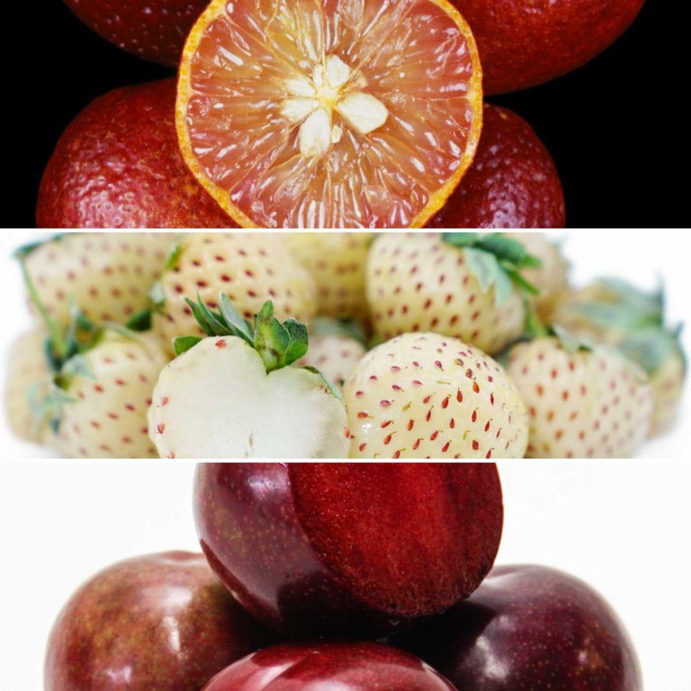 10 Sayur dan Buah Hasil Fusion Paling Unik, Berani Coba?