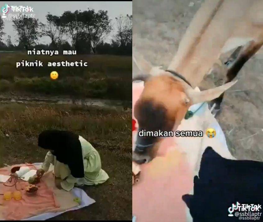 Twitter.com/halusinasu