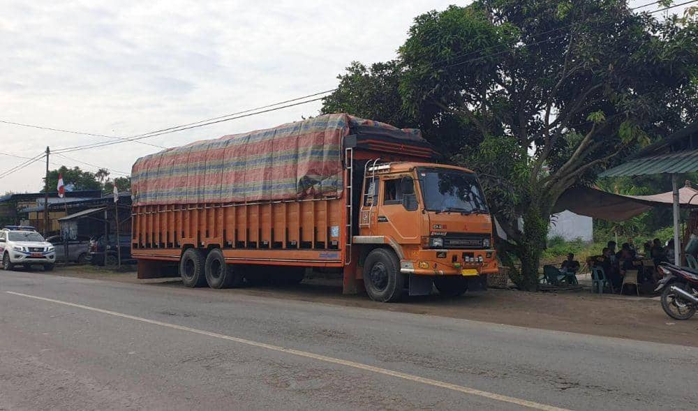 Truk pembawa kelapa untuk menyelundupkan sabu-sabu. (Istimewa)