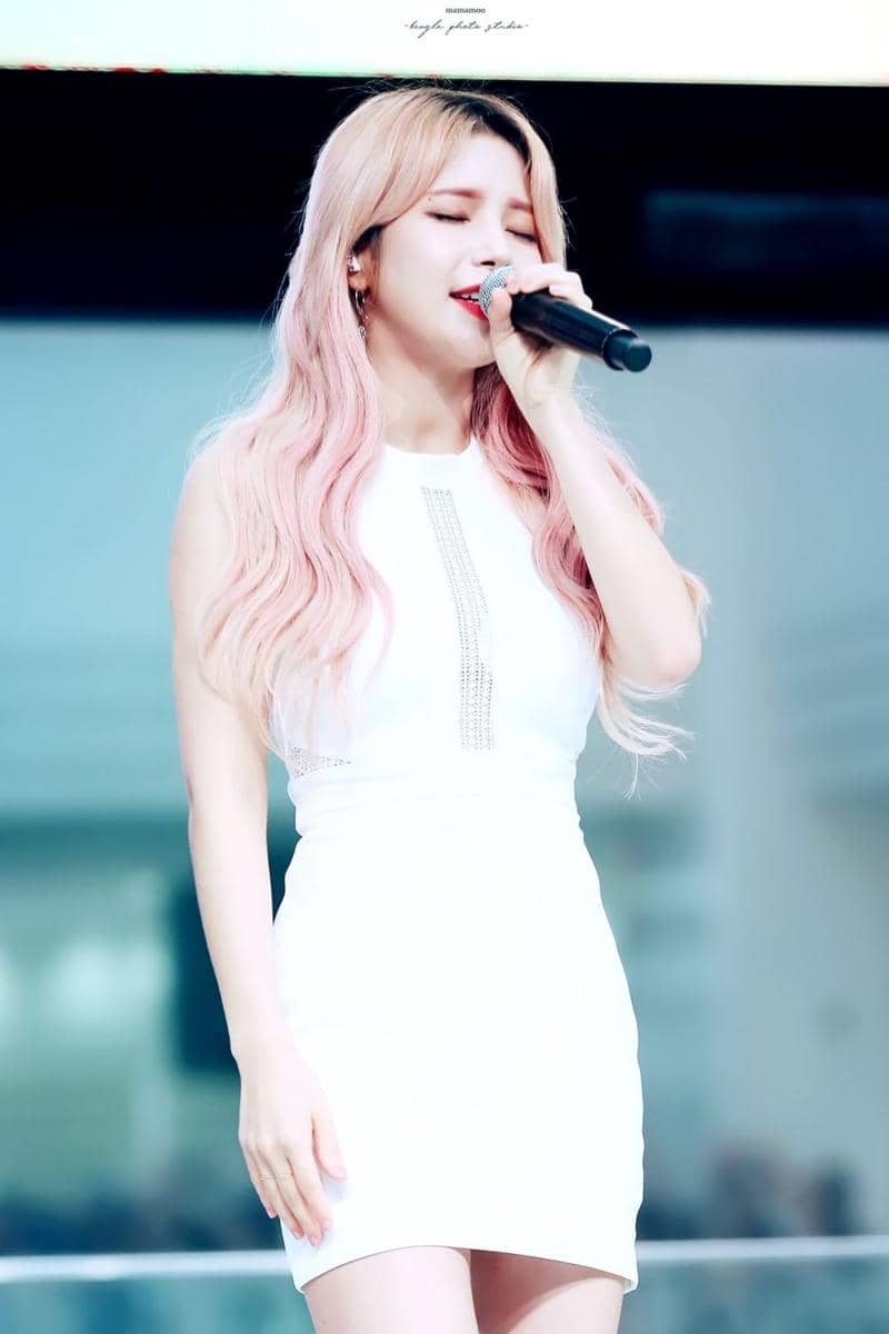 Twitter.com/Beagle_studio