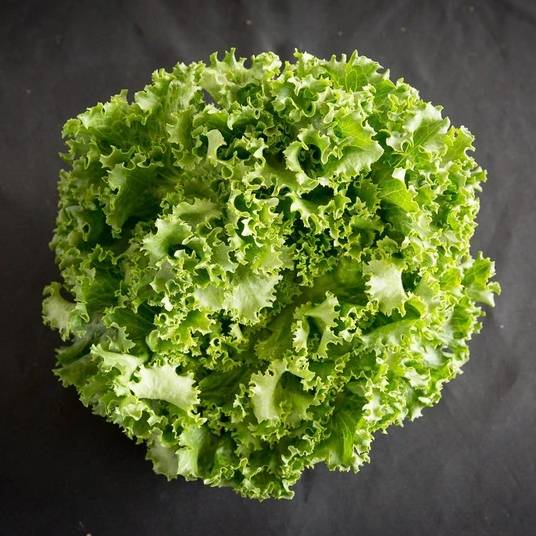 greenwagonfarm.com