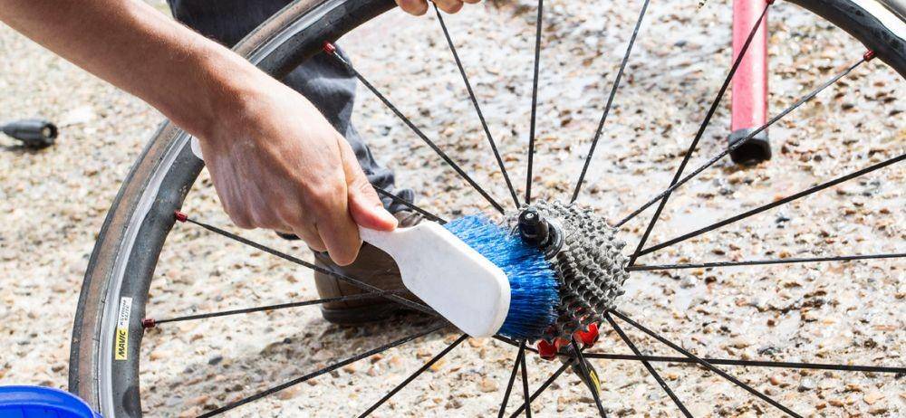 sigmasports.com