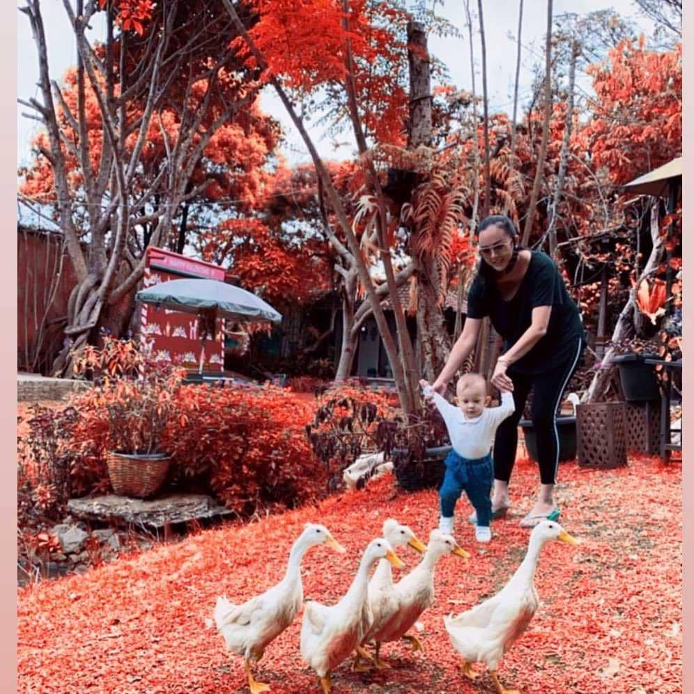 Instagram.com/aurakasih