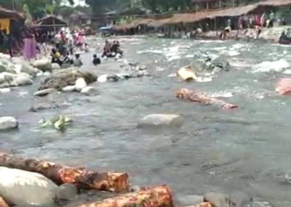 Viral! Puluhan Balok Kayu Mengalir di Kawasan Wisata Bukit Lawang