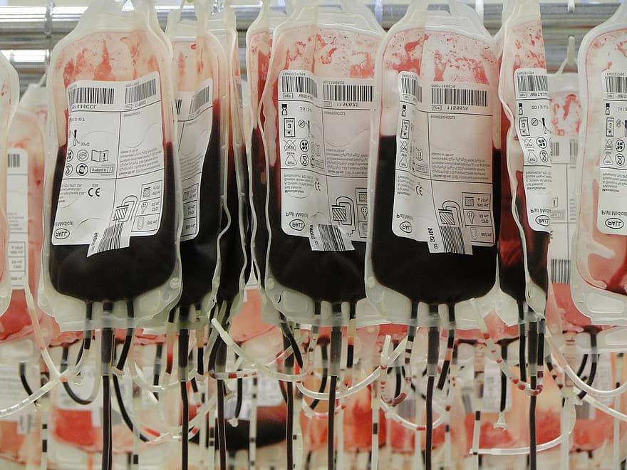 Pendonor Plasma Konvalesen di Jateng Minim, Banyak yang Gak Jujur