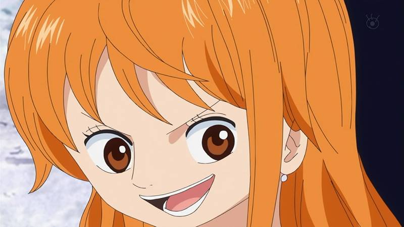 Toei Animation/One Piece