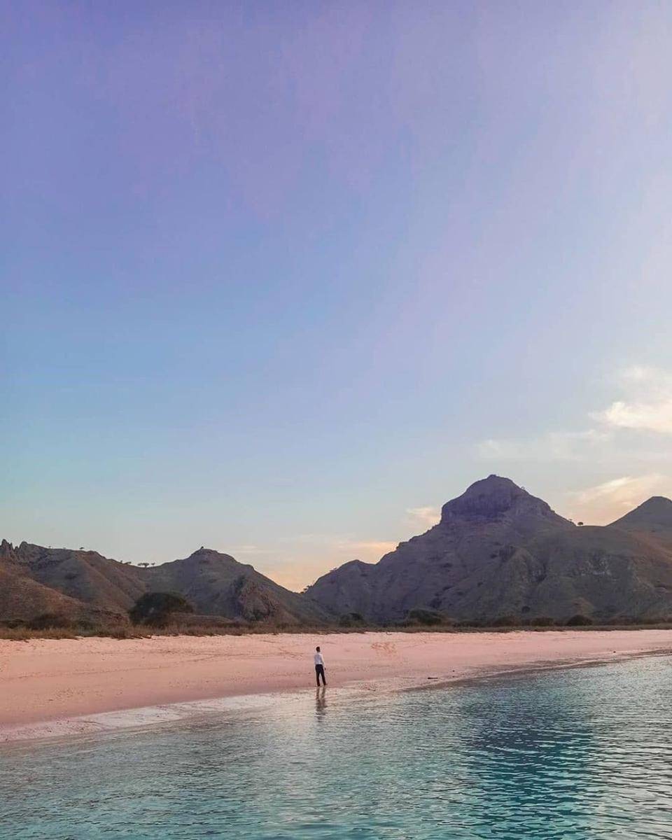 instagram.com/gahawisri.komodo