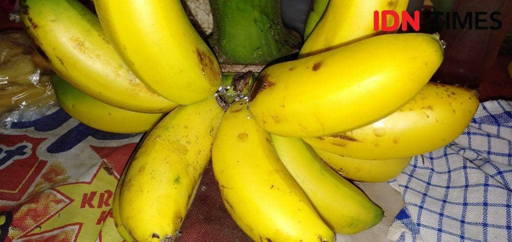 Ilustrasi buah pisang yang dicuri oleh mantan anggota DPRD Gunungkidul. IDN Times/Daruwaskita