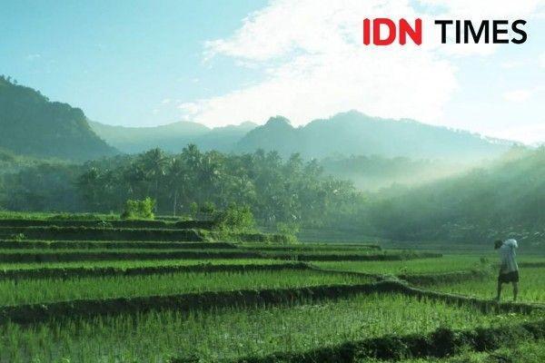 PPU Usulkan Penambahan Kuota BBM Subsidi untuk Petani