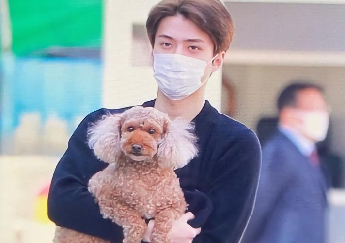 10 fakta monsieur, anjing kedua sehun exo yang menggemaskan!