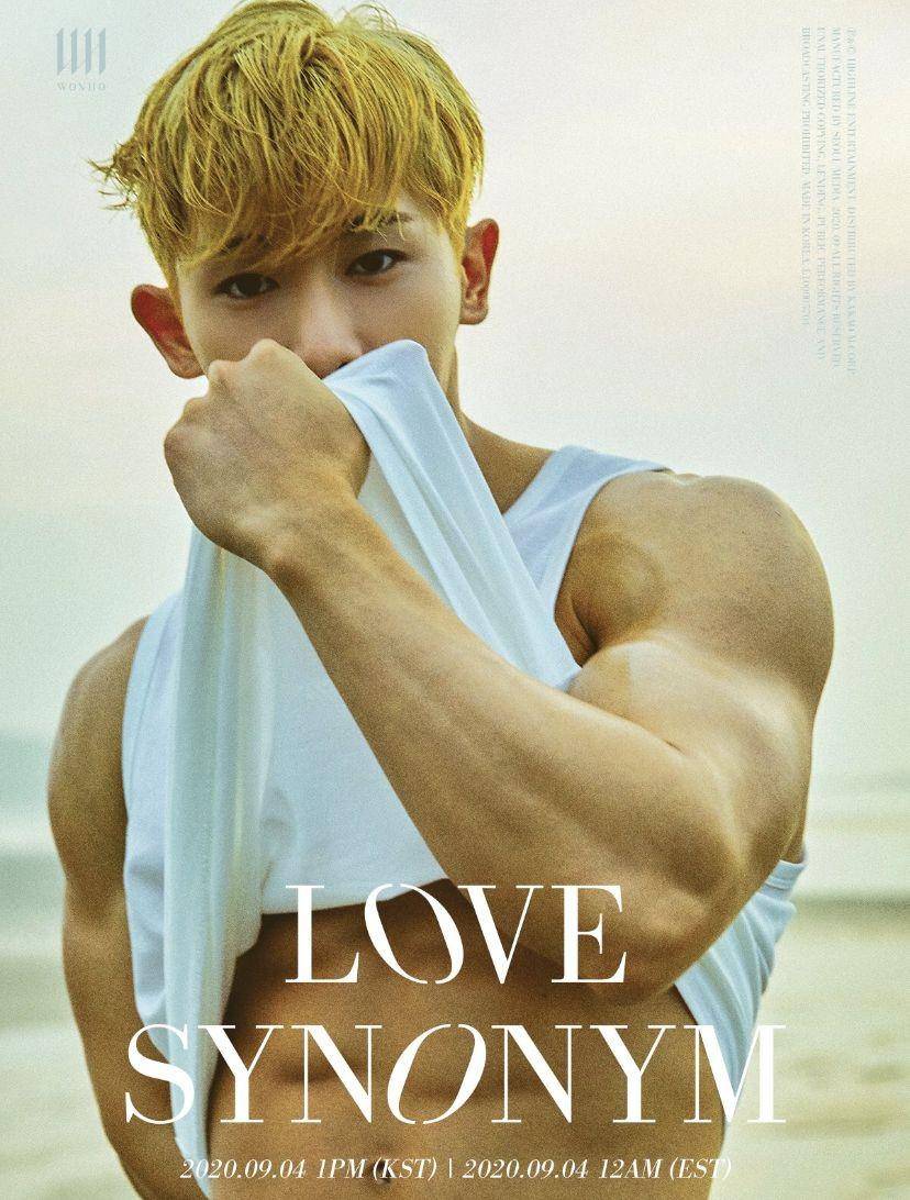 twitter.com/official__wonho